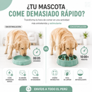 Plato antiestrés para mascotas