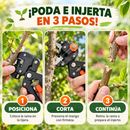 TIJERA DE INJERTO Y PODAR TM + AFILADOR DE CUCHILLOS GRATIS 🎁
