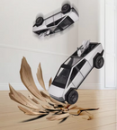 AUTO TESLA RC